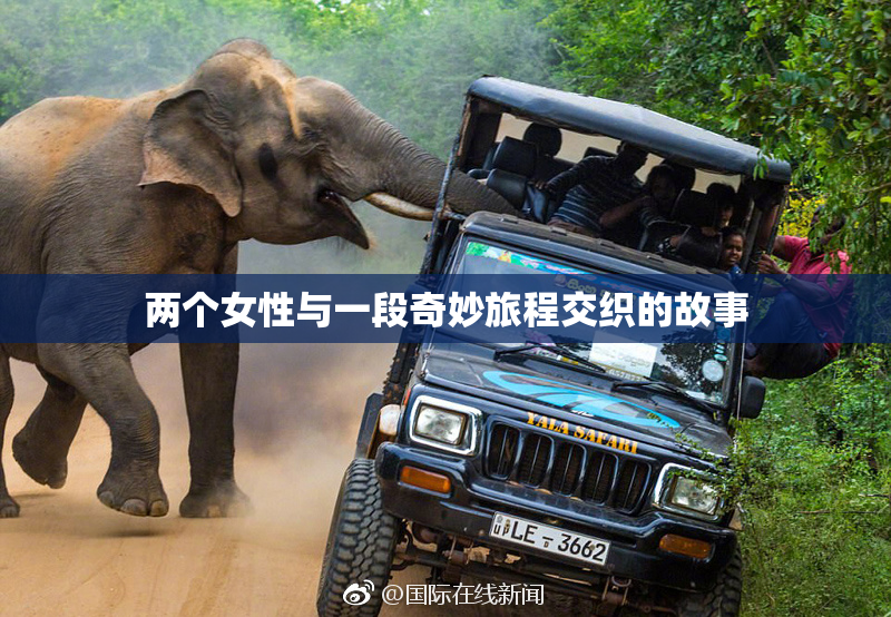 两个女性与一段奇妙旅程交织的故事