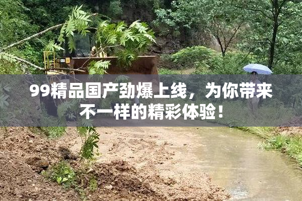 99精品国产劲爆上线，为你带来不一样的精彩体验！