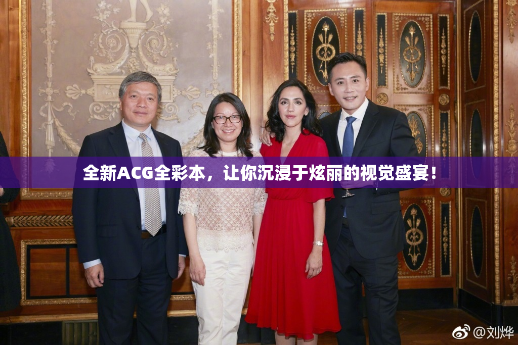 全新ACG全彩本，让你沉浸于炫丽的视觉盛宴！