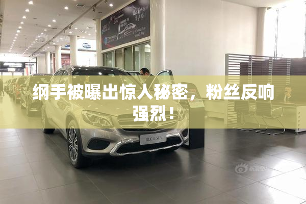 纲手被曝出惊人秘密，粉丝反响强烈！