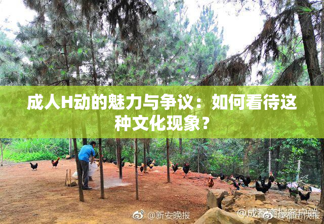 成人H动的魅力与争议：如何看待这种文化现象？