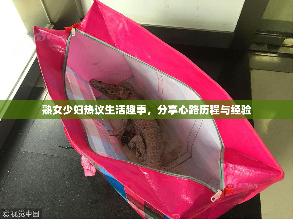 熟女少妇热议生活趣事，分享心路历程与经验