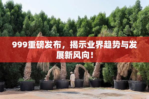999重磅发布，揭示业界趋势与发展新风向！
