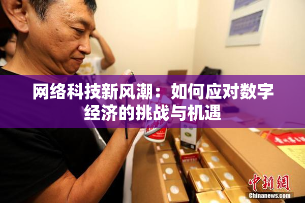 网络科技新风潮：如何应对数字经济的挑战与机遇