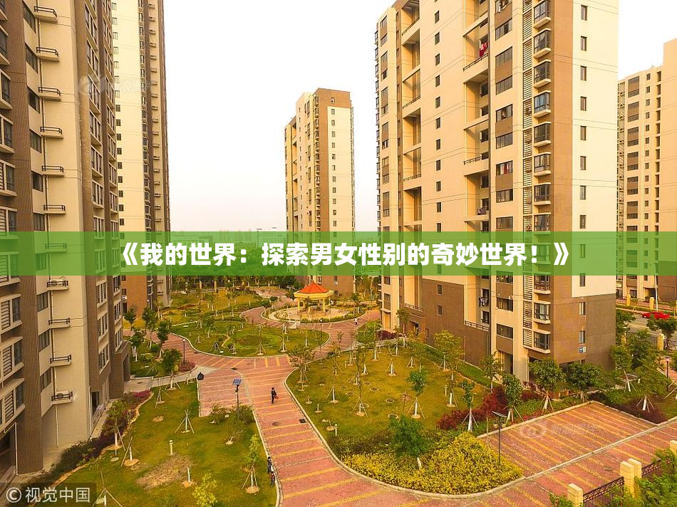 《我的世界：探索男女性别的奇妙世界！》