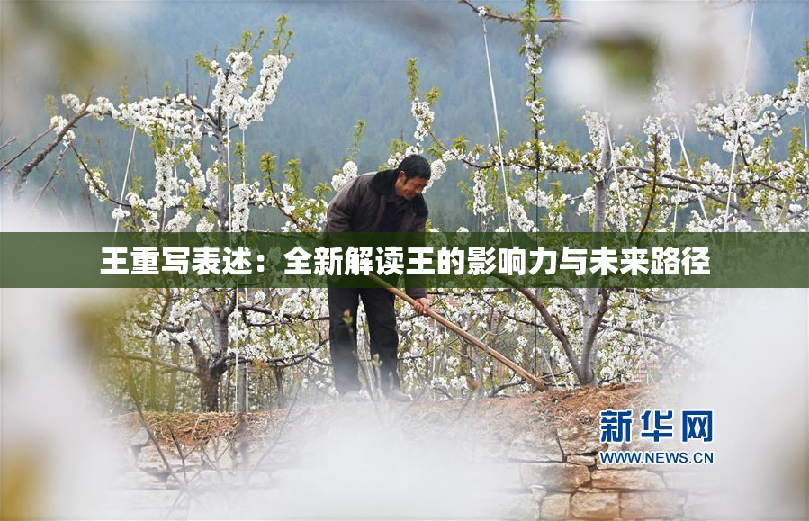 王重写表述：全新解读王的影响力与未来路径