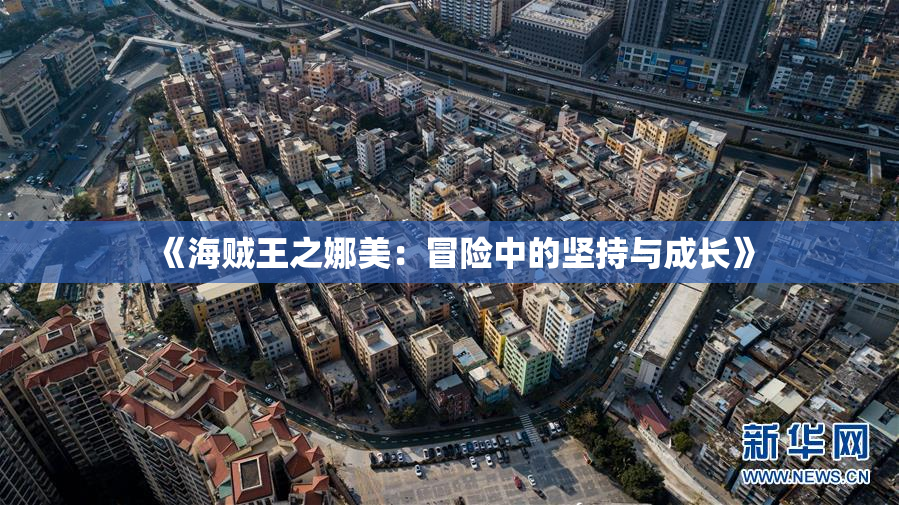 《海贼王之娜美：冒险中的坚持与成长》