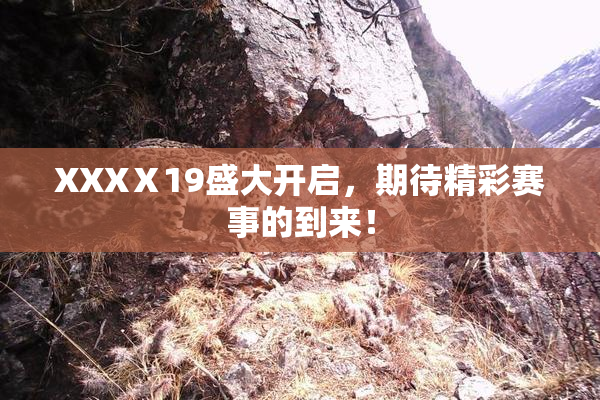 XXXⅩ19盛大开启，期待精彩赛事的到来！