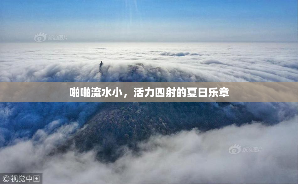 啪啪流水小，活力四射的夏日乐章