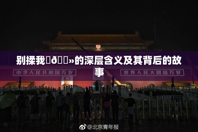 别揉我‌🐻的深层含义及其背后的故事