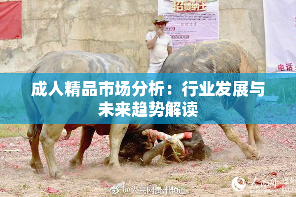 成人精品市场分析：行业发展与未来趋势解读