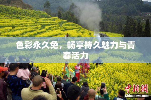 色彩永久免，畅享持久魅力与青春活力