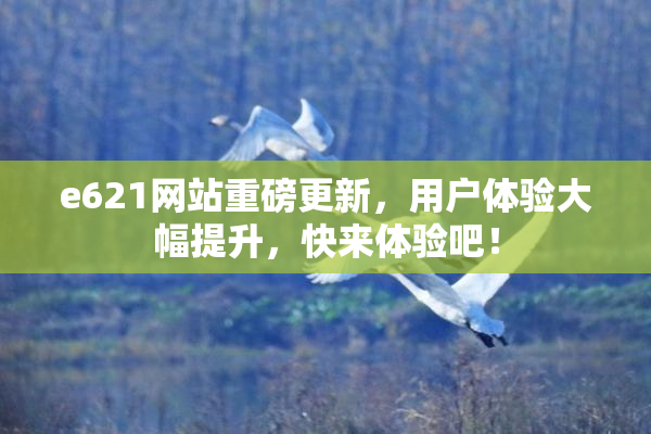 e621网站重磅更新，用户体验大幅提升，快来体验吧！