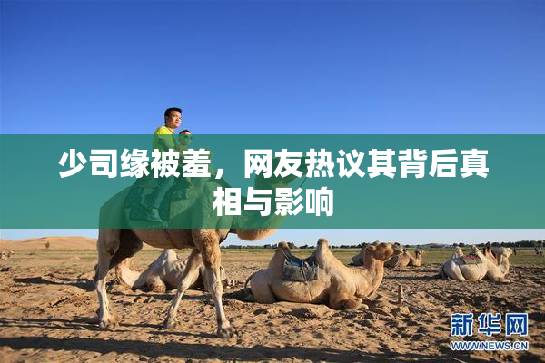 少司缘被羞，网友热议其背后真相与影响