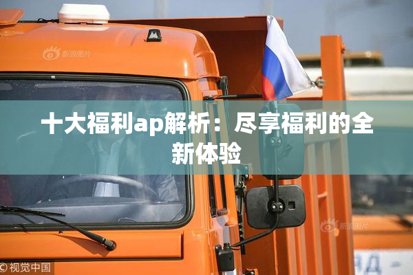 十大福利ap解析：尽享福利的全新体验
