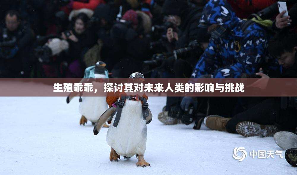 生殖乖乖，探讨其对未来人类的影响与挑战