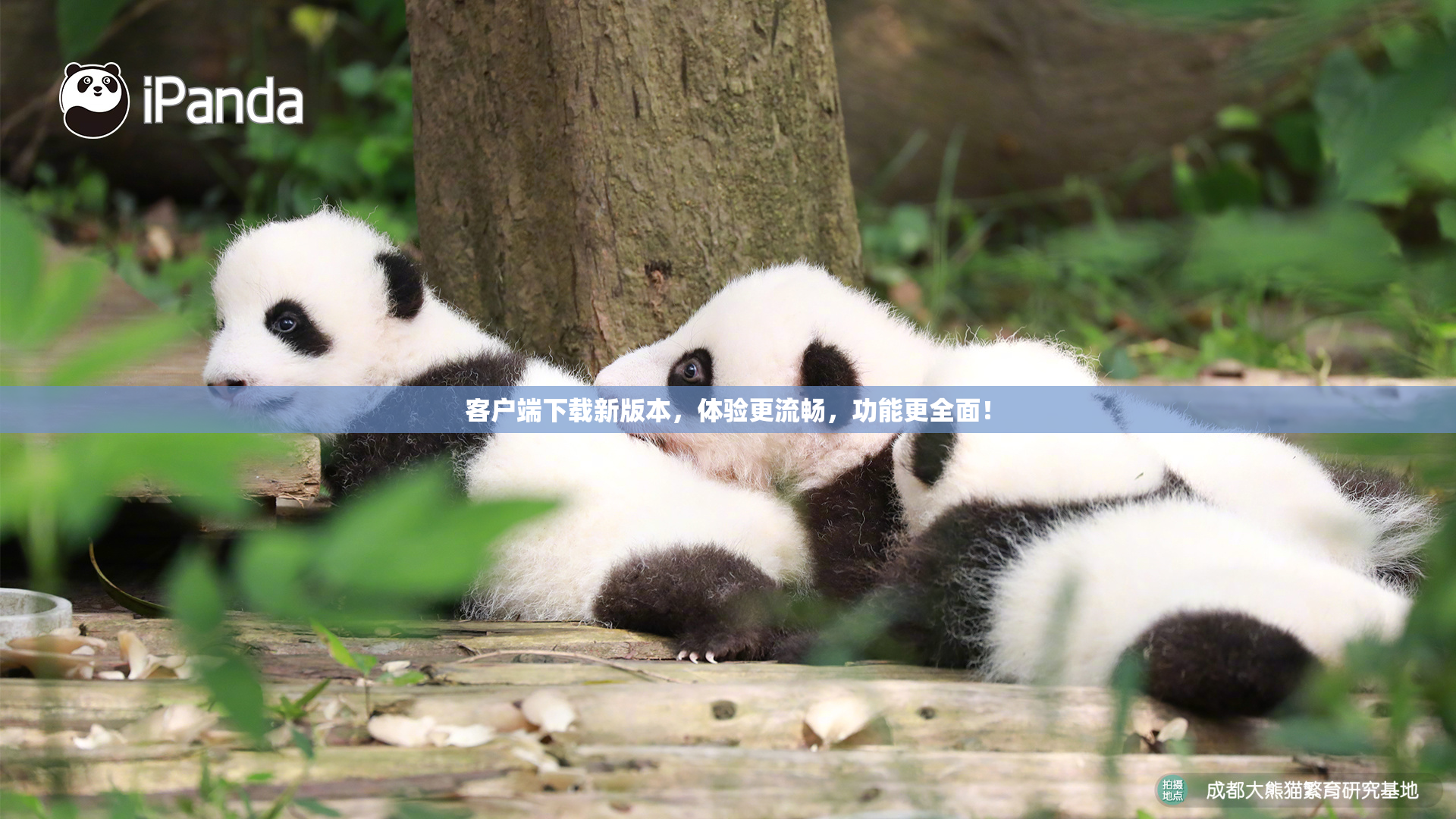 客户端下载新版本，体验更流畅，功能更全面！