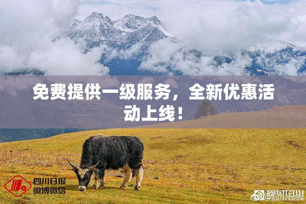 免费提供一级服务，全新优惠活动上线！