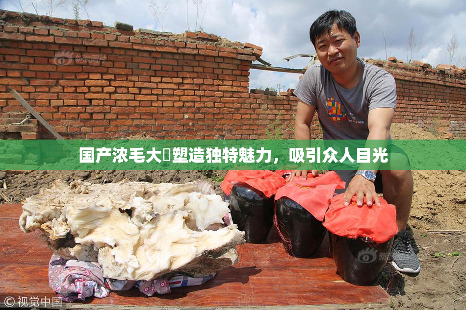 国产浓毛大泬塑造独特魅力，吸引众人目光