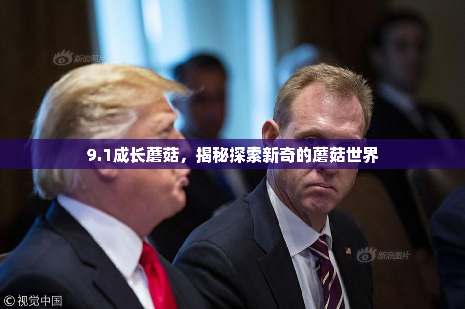 9.1成长蘑菇，揭秘探索新奇的蘑菇世界