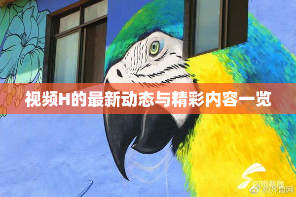 视频H的最新动态与精彩内容一览