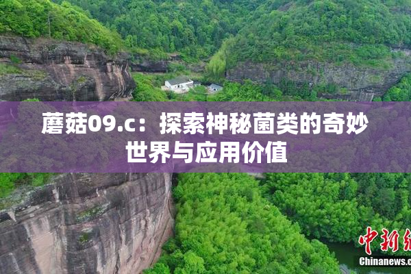 蘑菇09.c：探索神秘菌类的奇妙世界与应用价值