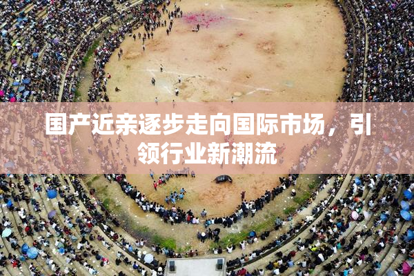 国产近亲逐步走向国际市场，引领行业新潮流