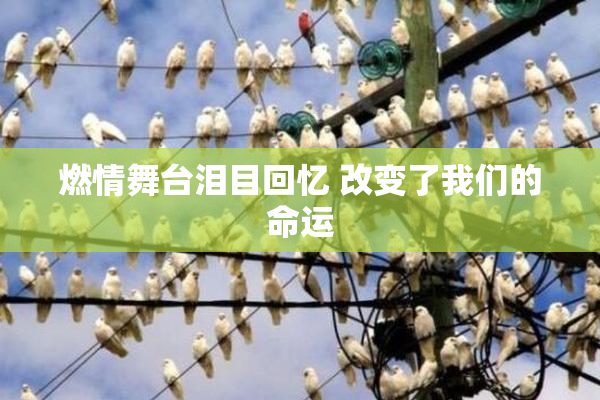燃情舞台泪目回忆 改变了我们的命运