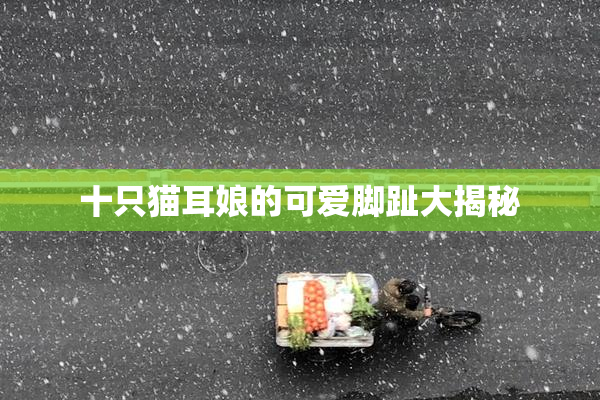 十只猫耳娘的可爱脚趾大揭秘