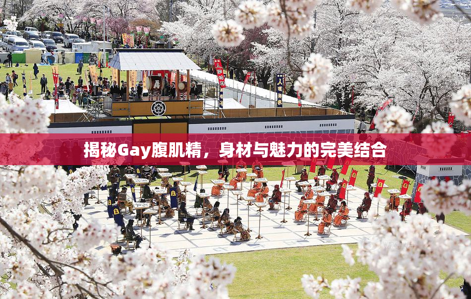 揭秘Gay腹肌精，身材与魅力的完美结合