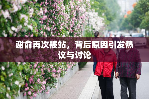 谢俞再次被站，背后原因引发热议与讨论