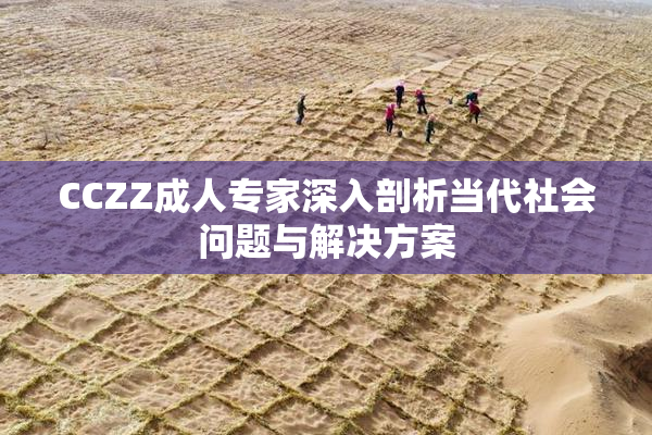 CCZZ成人专家深入剖析当代社会问题与解决方案