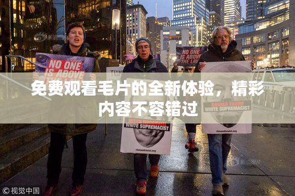 免费观看毛片的全新体验，精彩内容不容错过