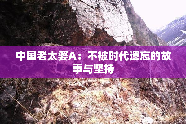 中国老太婆A：不被时代遗忘的故事与坚持