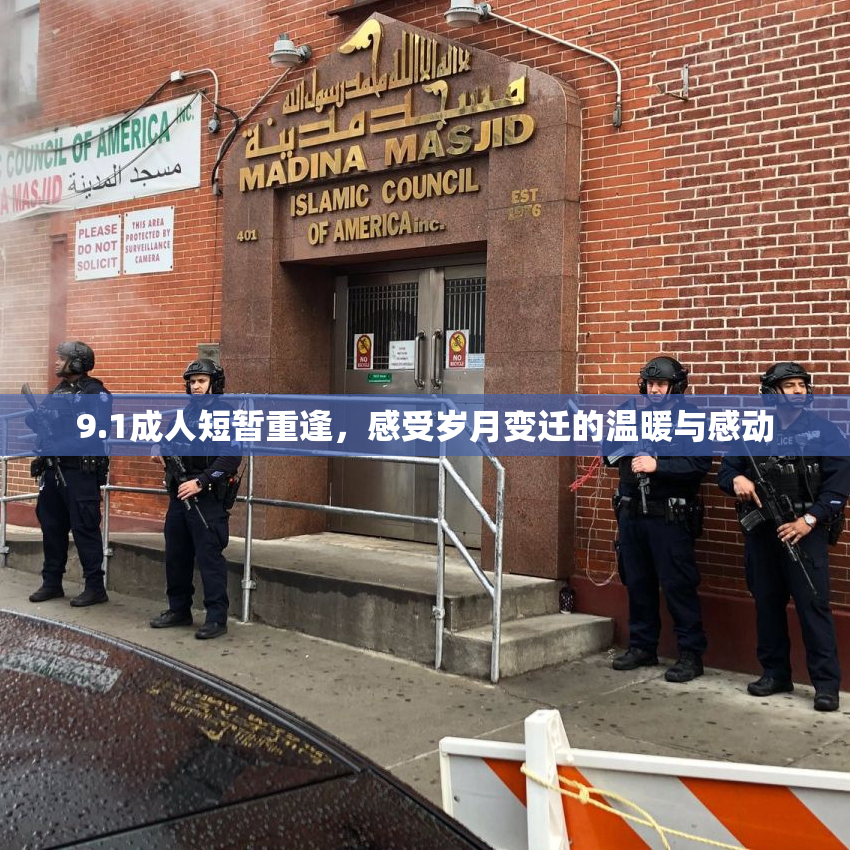 9.1成人短暂重逢，感受岁月变迁的温暖与感动