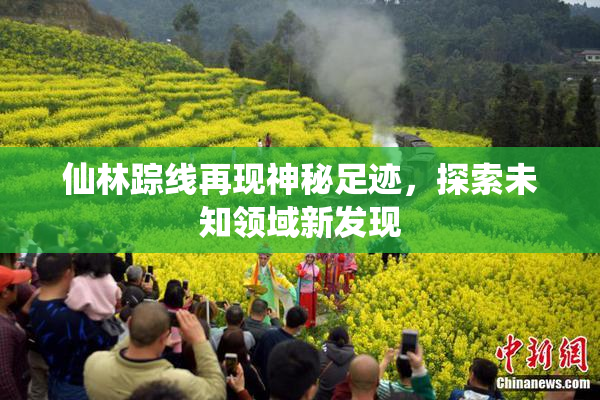 仙林踪线再现神秘足迹，探索未知领域新发现