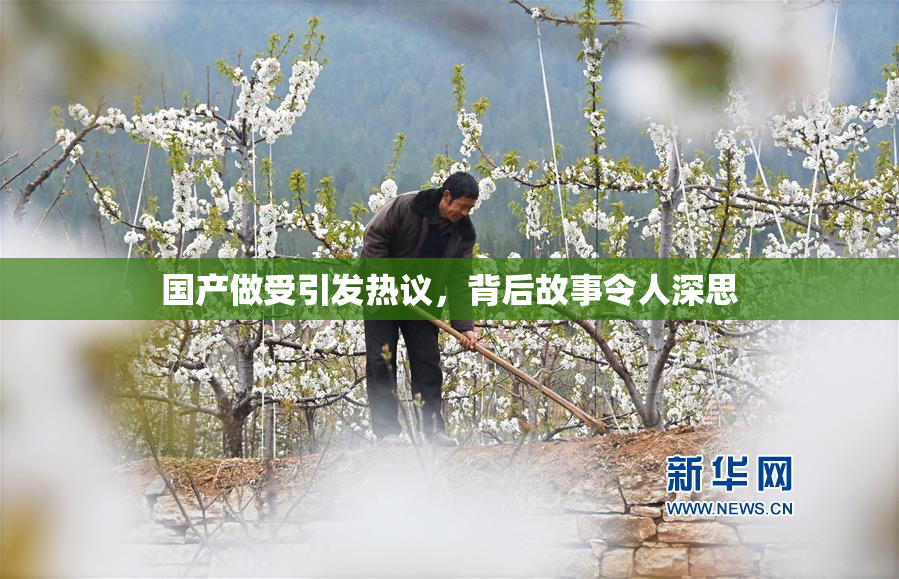 国产做受引发热议，背后故事令人深思