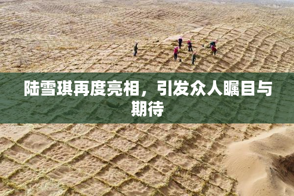 陆雪琪再度亮相，引发众人瞩目与期待