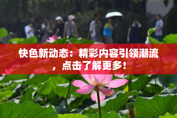 快色新动态：精彩内容引领潮流，点击了解更多！