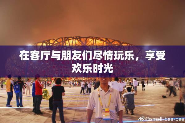 在客厅与朋友们尽情玩乐，享受欢乐时光
