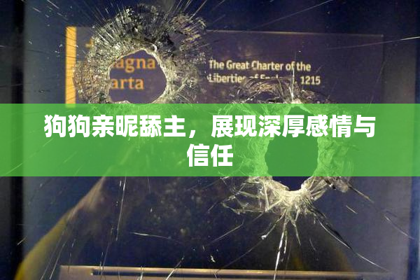 狗狗亲昵舔主，展现深厚感情与信任