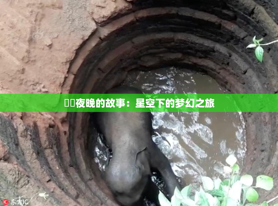 妺妺夜晚的故事：星空下的梦幻之旅