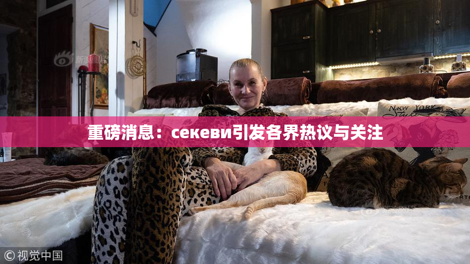 重磅消息：ceкеви引发各界热议与关注