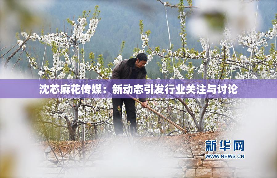 沈芯麻花传媒：新动态引发行业关注与讨论