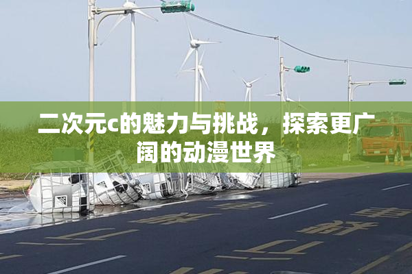 二次元c的魅力与挑战，探索更广阔的动漫世界