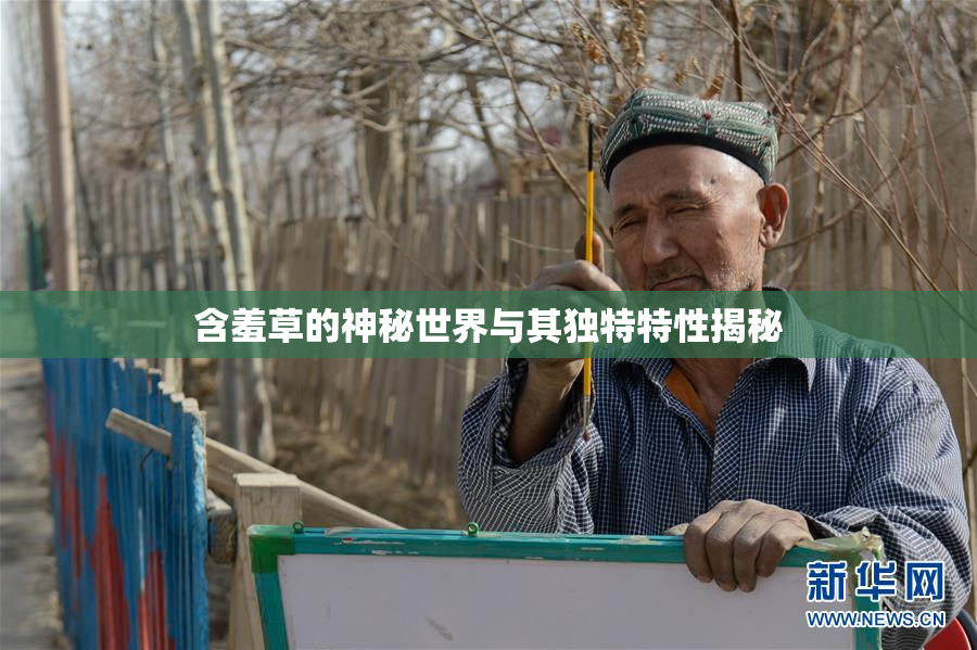 含羞草的神秘世界与其独特特性揭秘