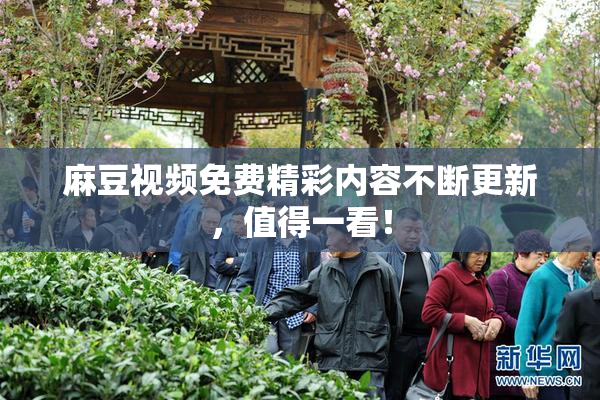 麻豆视频免费精彩内容不断更新，值得一看！