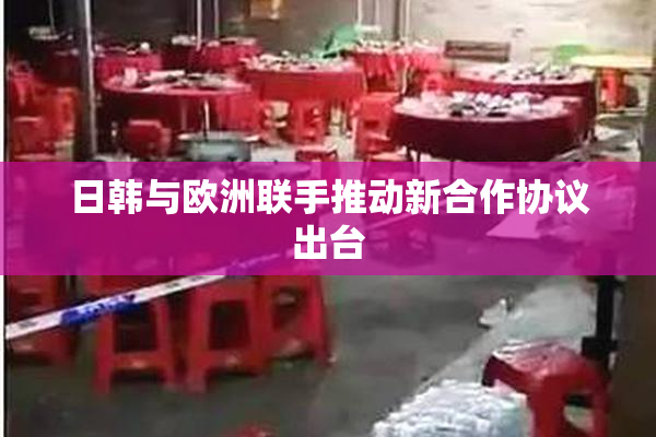日韩与欧洲联手推动新合作协议出台