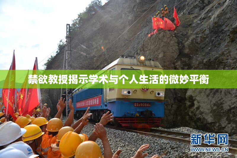 禁欲教授揭示学术与个人生活的微妙平衡