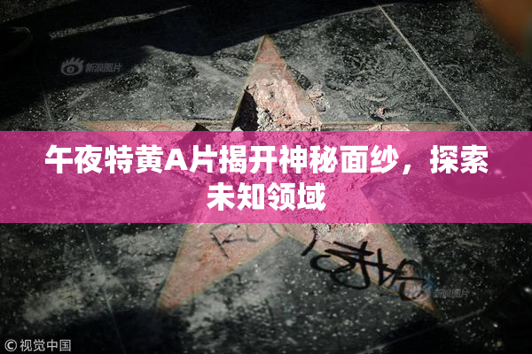 午夜特黄A片揭开神秘面纱，探索未知领域